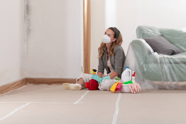 Reliable Black Mold Removal contractor in Medfield, MA by WQB Mold Removal